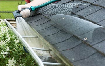 Steinis gutter cleaning costs