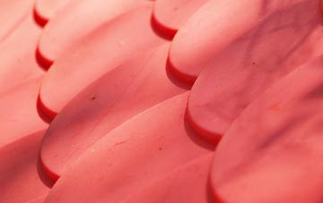 Steinis plastic roof costs