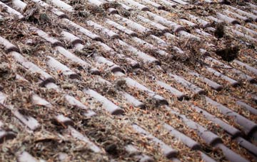 Steinis roof cleaning companies