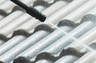 rated Steinis roof cleaning companies